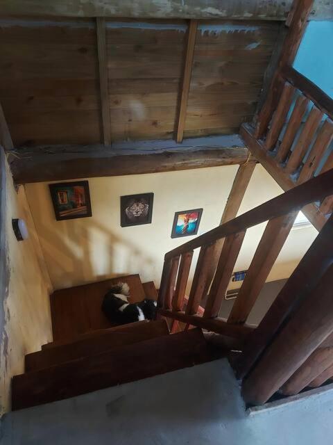 Baleia Villa Alto Paraiso de Goias Ngoại thất bức ảnh